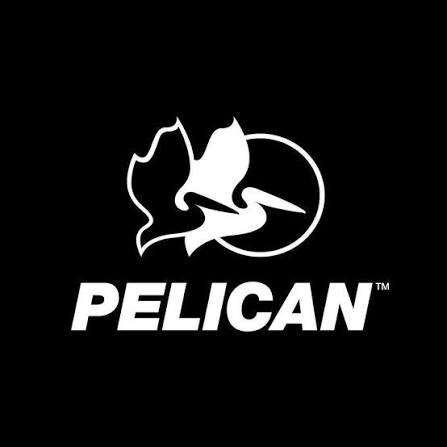 Pelican