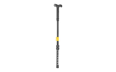 ZAPCane
