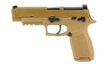 M17-9-CSS-MS-10
