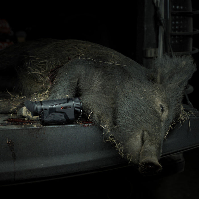dead wild boar lies in the back of a vehicle next to a nocpix lumi l35 