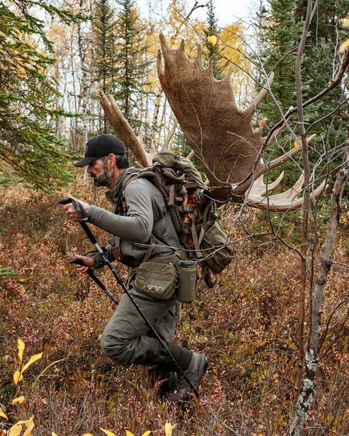 A backcountry hunter utilizing the Brute 4500 Load Hauling Pack to carry a heavy moose harvest, demonstrating how the superior ergonomics and internal frame distribute extreme weight across the hips for stable movement.