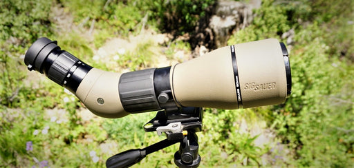 Sig OSCAR8 mounted on a tripod