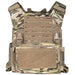 QRF Low Visibility Minimalist Plate Carrier with Armor Plates - Atomic Defense