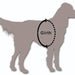 Titan K-9 Vest (Harness only) - Atomic Defense